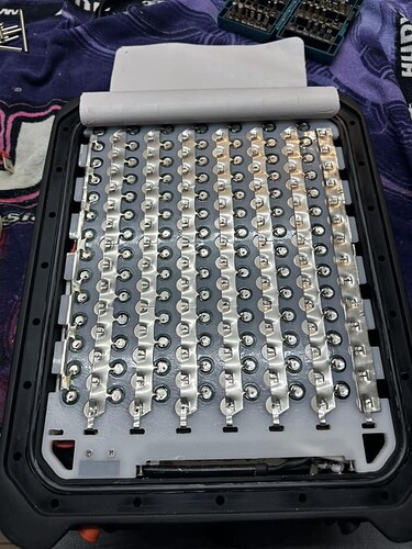 Fliteboard battery cells